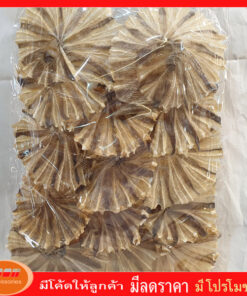 ปลาวง ปลากะเบน ตากแห้ง